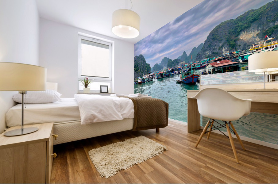 Around Cat Ba Island Mural print
