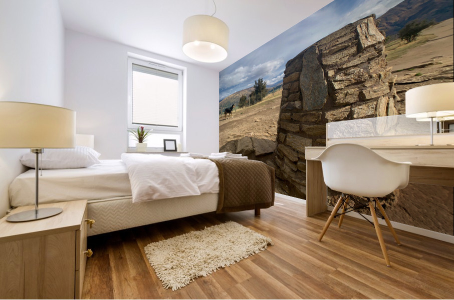 Dog on the Top of Mount Iron New Zealand Mural print