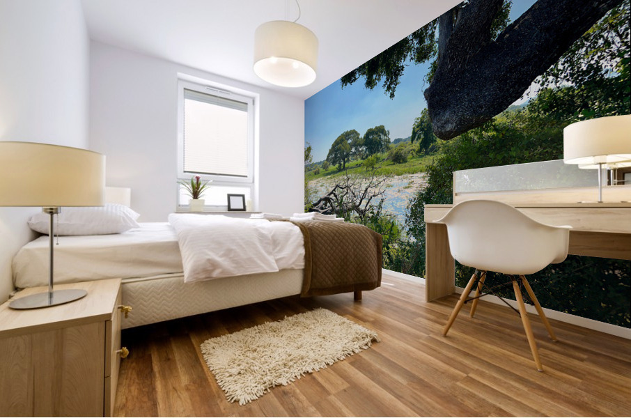 Yala National Park Sri Lanka 3 Mural print