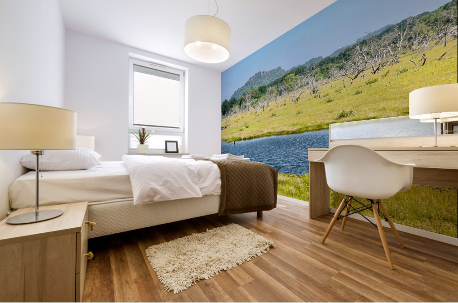 Yala National Park Sri Lanka Mural print