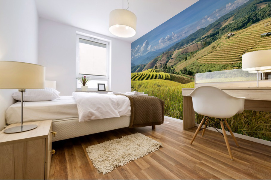 Amazing Rice Fields Mural print