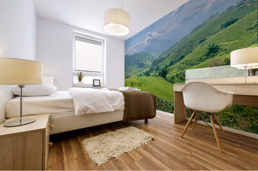 Rice Fields in Sapa 3 Mural print