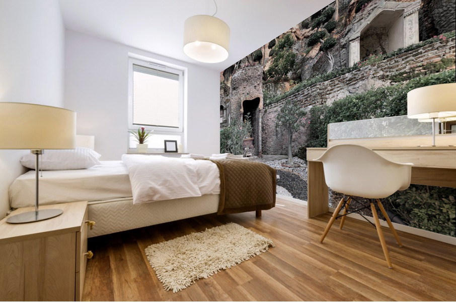 Yin Yang Entrance Mural print