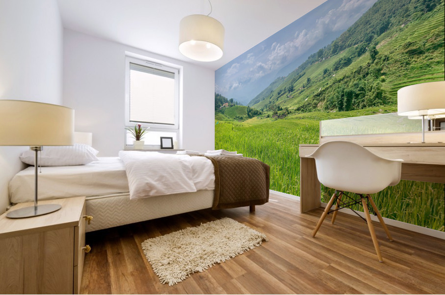 Rice Fields in Sapa 2 Mural print