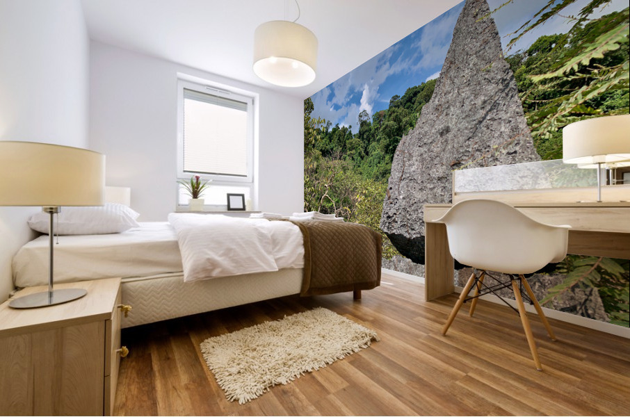 The Rock Viewpoint Laos Mural print