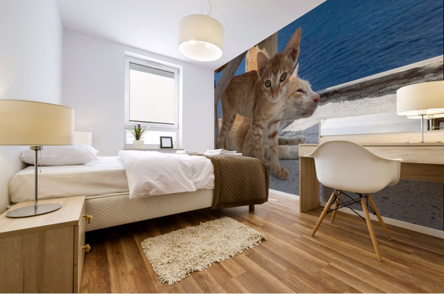 Kitties with a View Impression murale