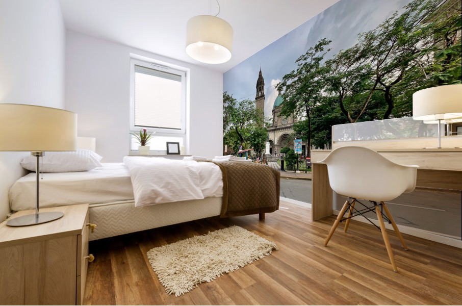 The Manila Cathedral Impression murale