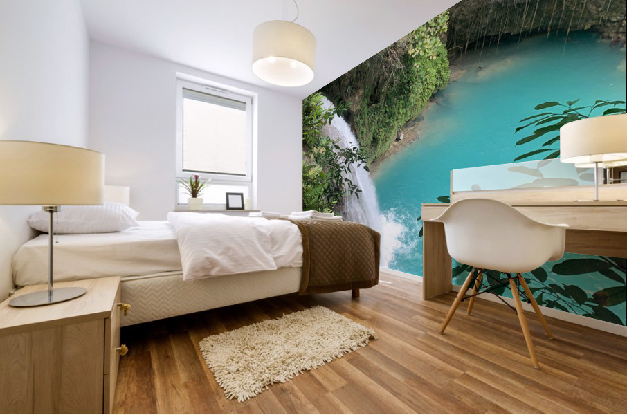 Kawasan Falls Philippines 1 Mural print