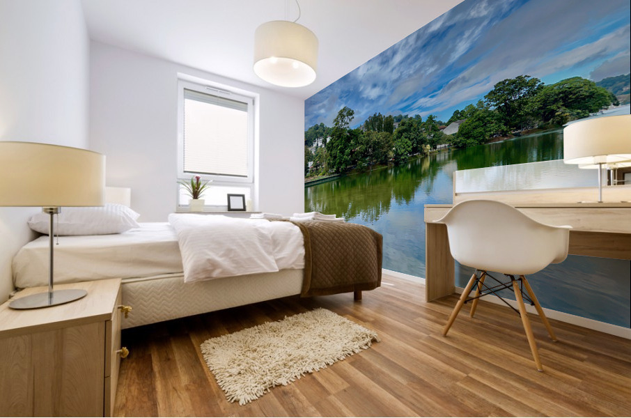 Natures Reflections 2 Mural print