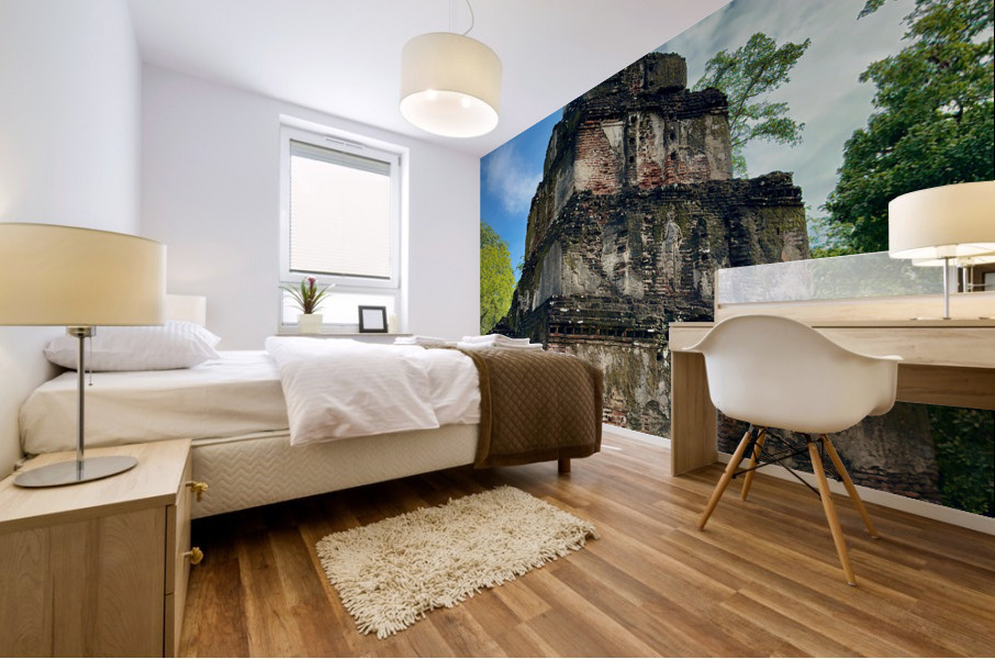 The Sacred City of Polonnaruwa 4 Mural print