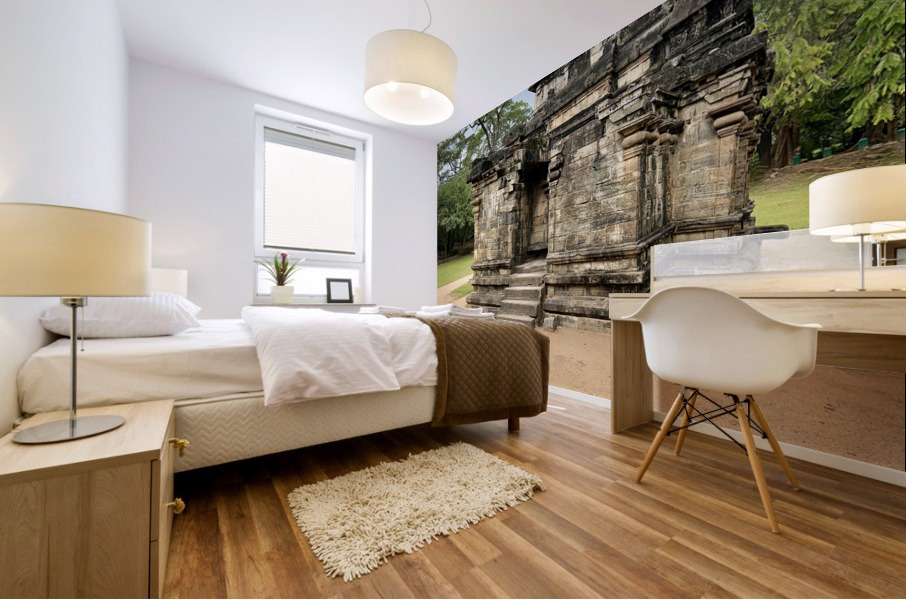 The Sacred City of Polonnaruwa 6 Mural print