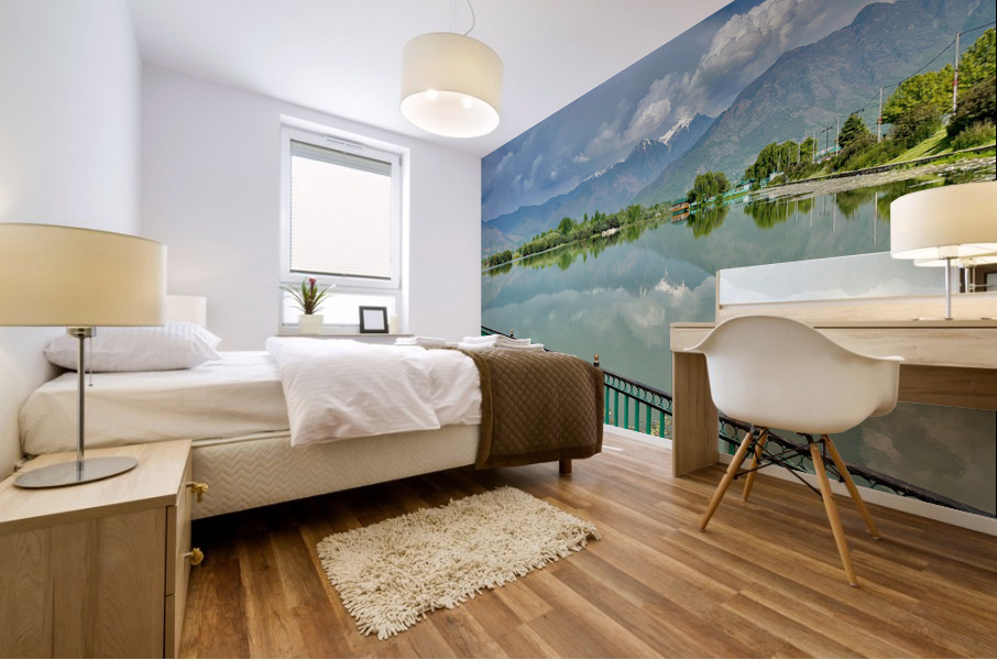 Dal Lake Srinagar 6 Mural print