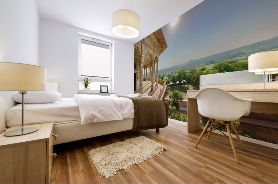 Agra Fort 20 Mural print