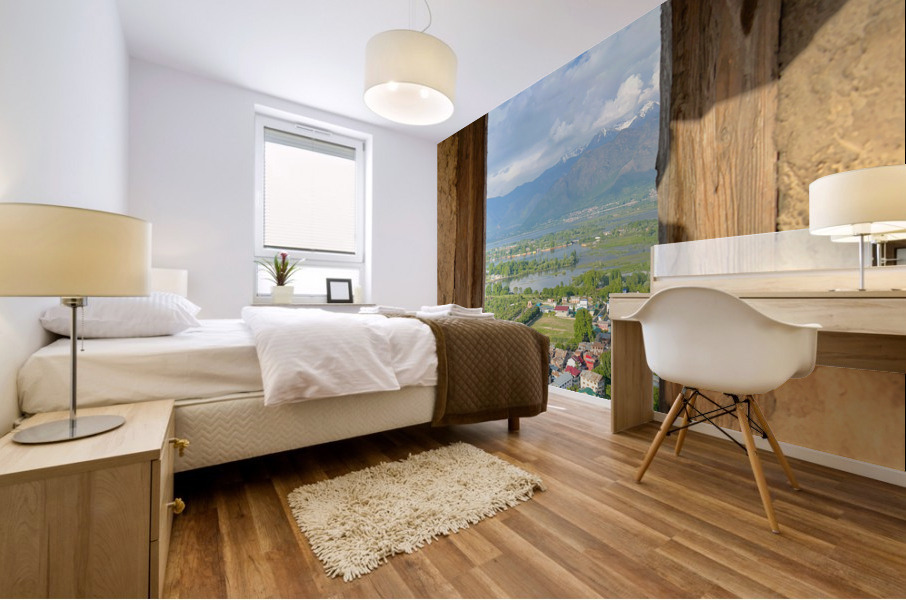 Hari Parbat Srinagar 2 Mural print