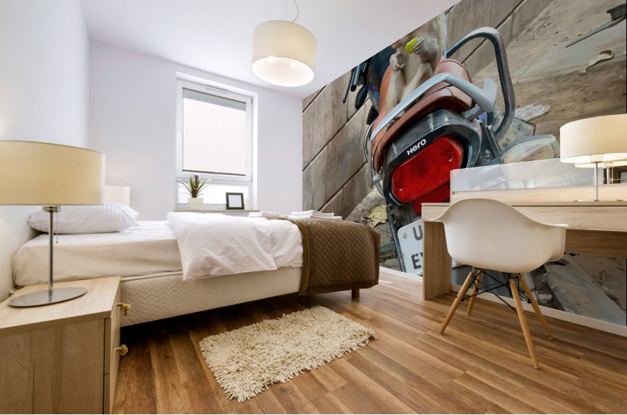 Snack Rider Mural print