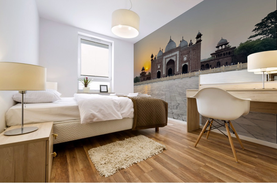 The Taj Mahal Collection 24 Mural print