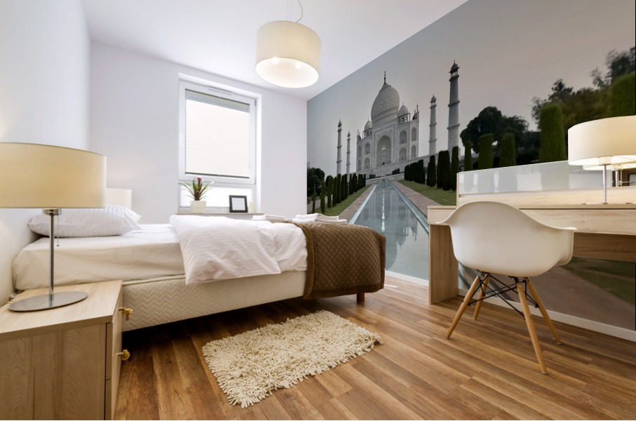 The Taj Mahal Collection 16 Mural print