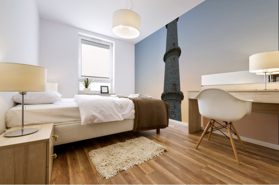 The Taj Mahal Collection 21 Mural print