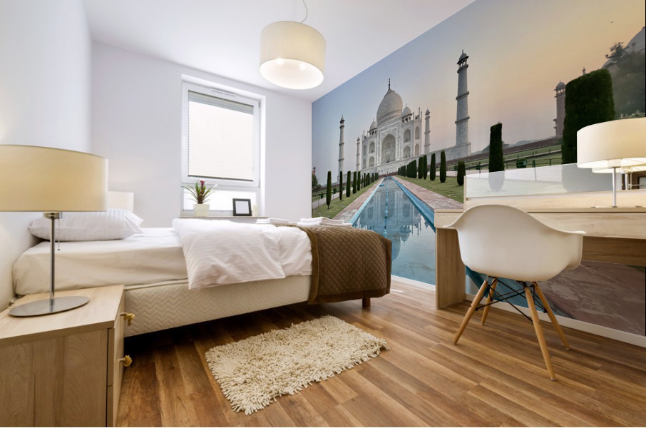 The Taj Mahal Collection 18 Mural print