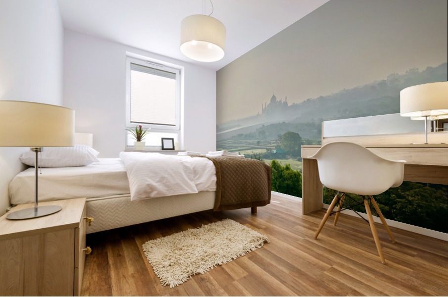 The Taj Mahal Collection 5 Mural print