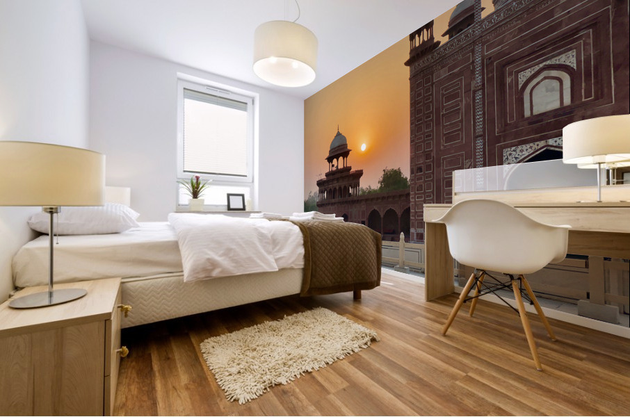 The Taj Mahal Collection 23 Mural print