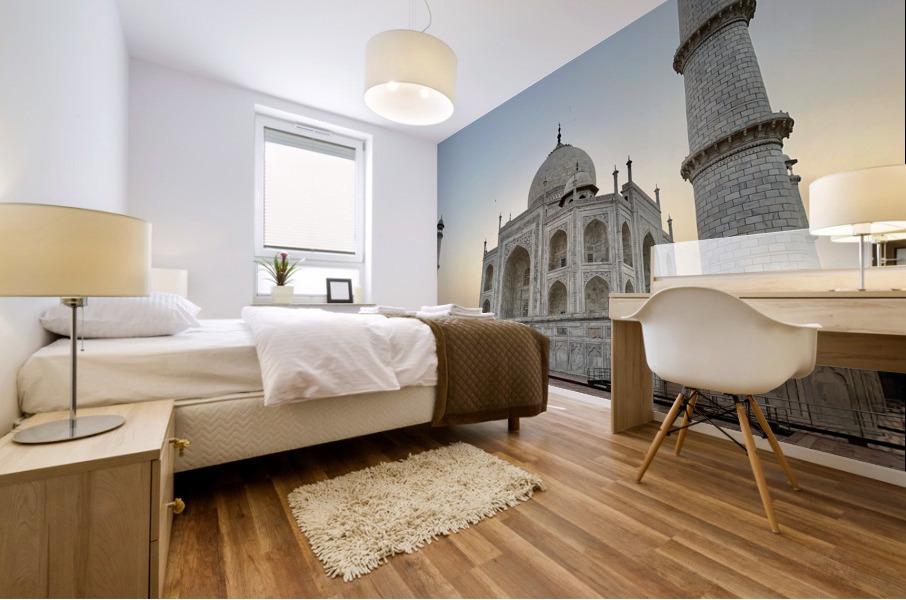 The Taj Mahal Collection 19 Mural print