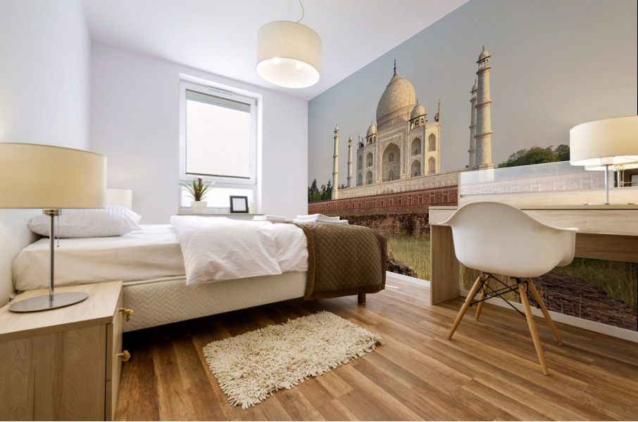 The Taj Mahal Collection 8 Mural print