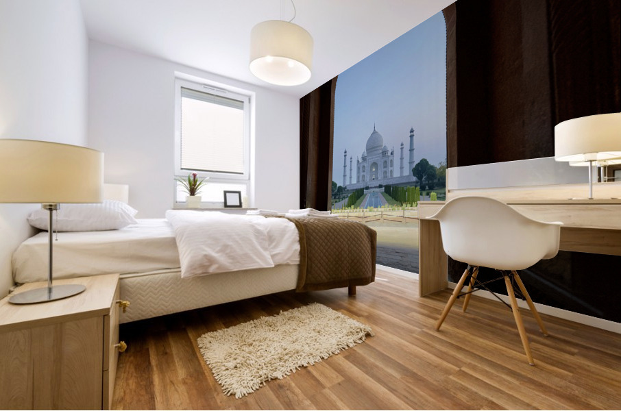 The Taj Mahal Collection 14 Mural print