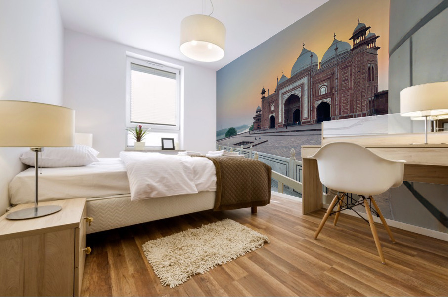 The Taj Mahal Collection 22 Mural print