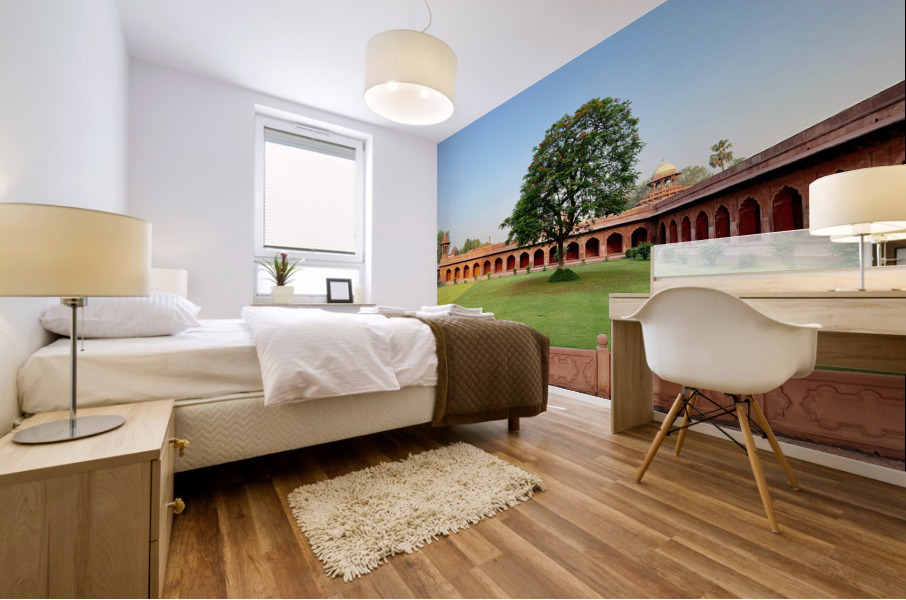 The Taj Mahal Collection 29 Mural print