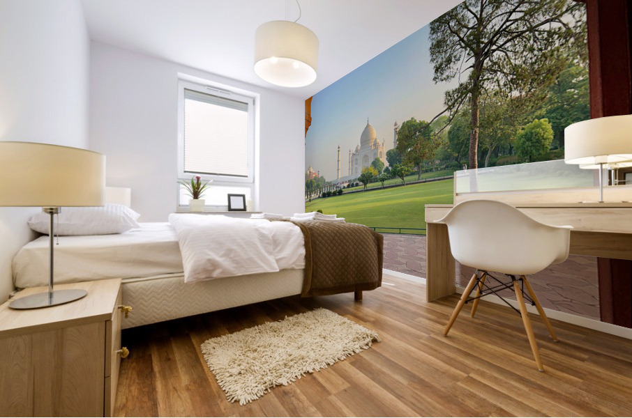 The Taj Mahal Collection 27 Mural print