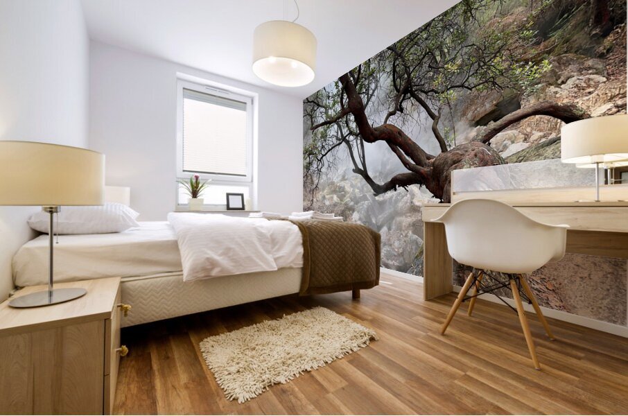 Cibuni Rengganis Crater Java Indonesia 7 Mural print