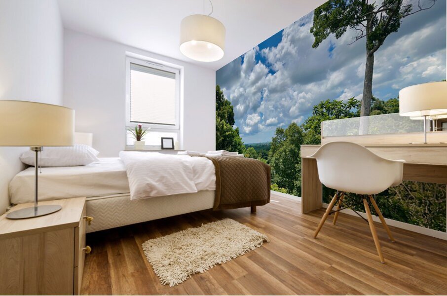 Kabili Sepilok Forest Reserve 1 Mural print