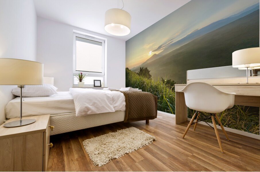 Beautiful Sunrise Jeju South Korea 1 Mural print