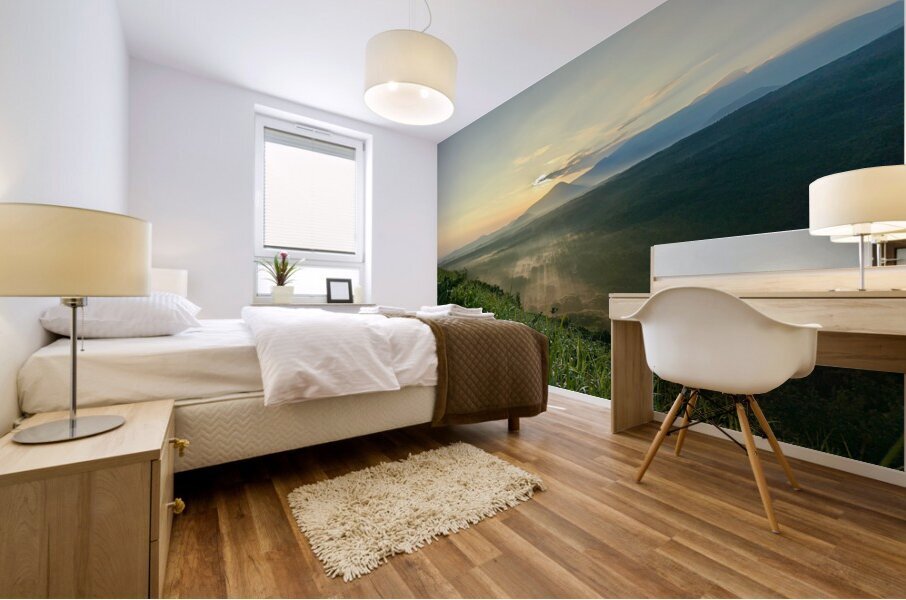 Beautiful Sunrise Jeju South Korea 2 Mural print