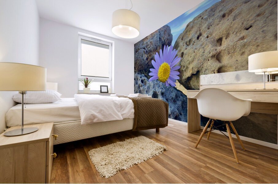 Flower on the Rocks Udo South Korea Mural print