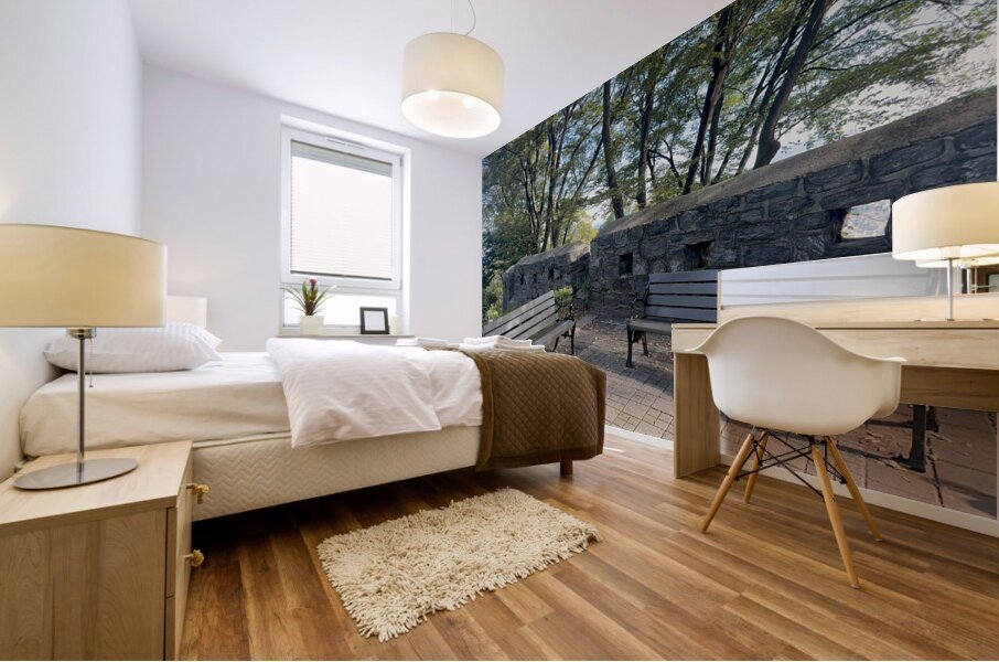 Namsan Tower Seoul South Korea 5 Mural print