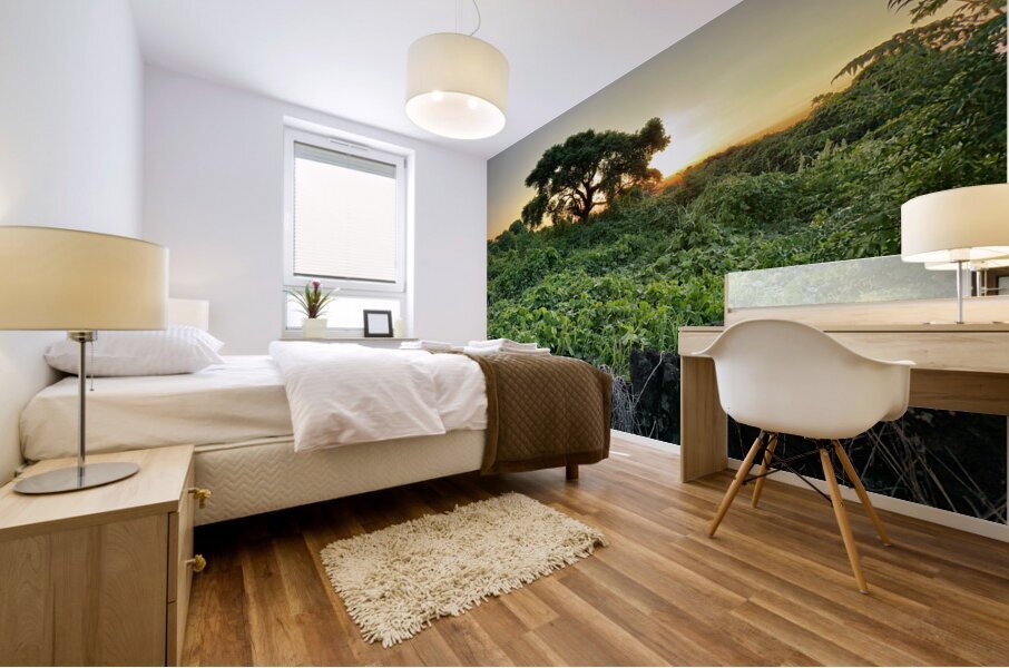 The Sunset Behind Jeju South Korea Mural print