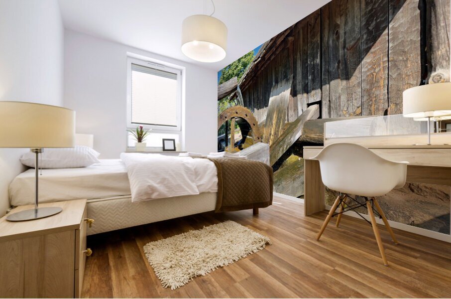 Water Wheel Seoul South Korea Impression murale