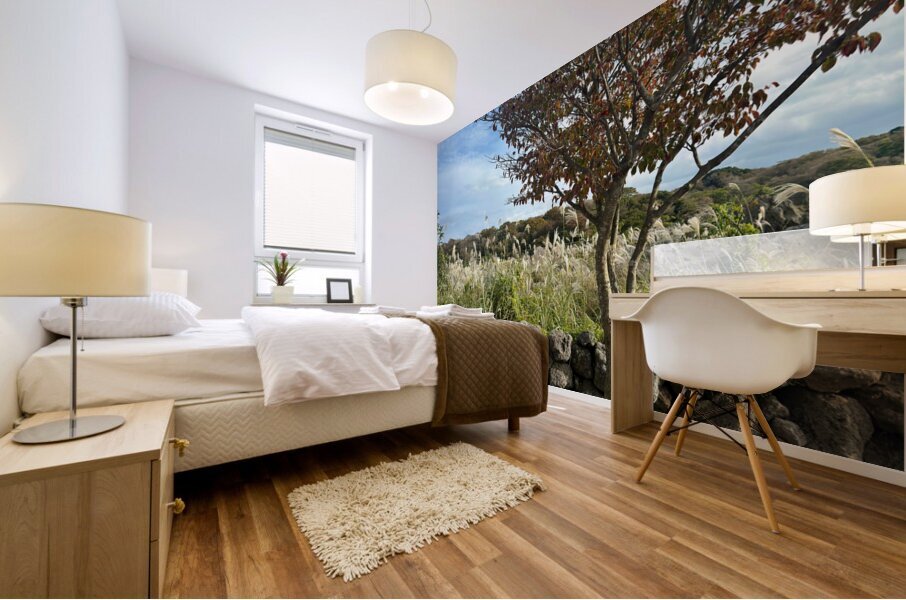 Stone Park Jeju South Korea 6 Mural print