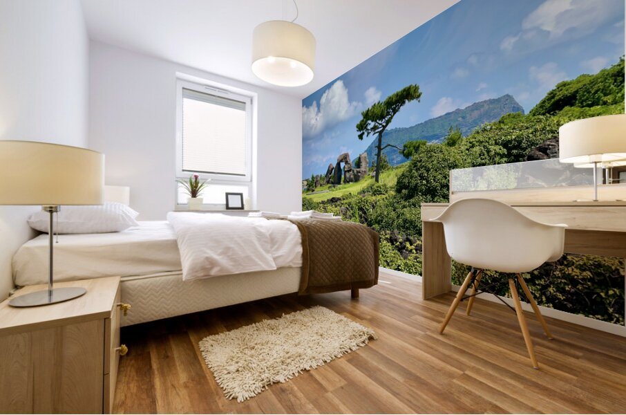 Seongsan Ilchulbong Jeju South Korea 4 Mural print