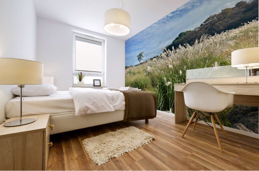 Stone Park Jeju South Korea 2 Mural print