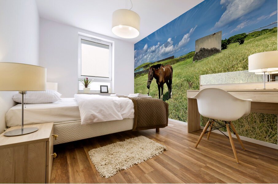 Seopjikoji Jeju South Korea 3 Mural print