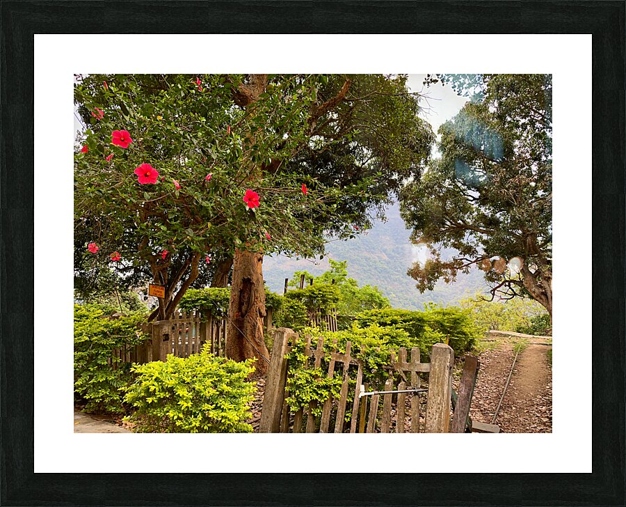 Red Flowers Gate Impression et Cadre photo