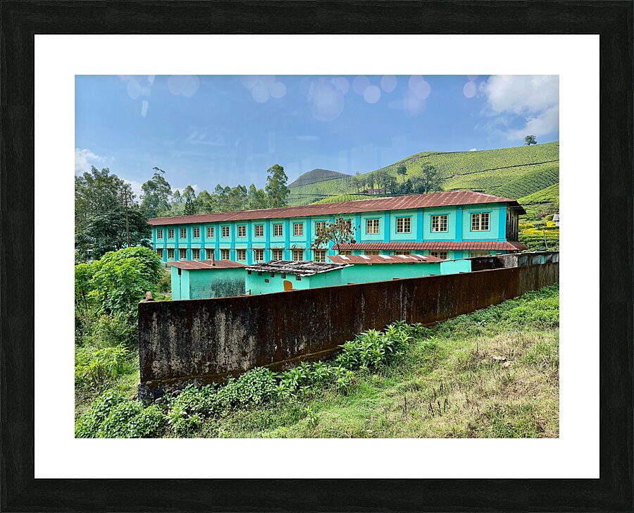 Living in the Tea Plantation Picture Frame print