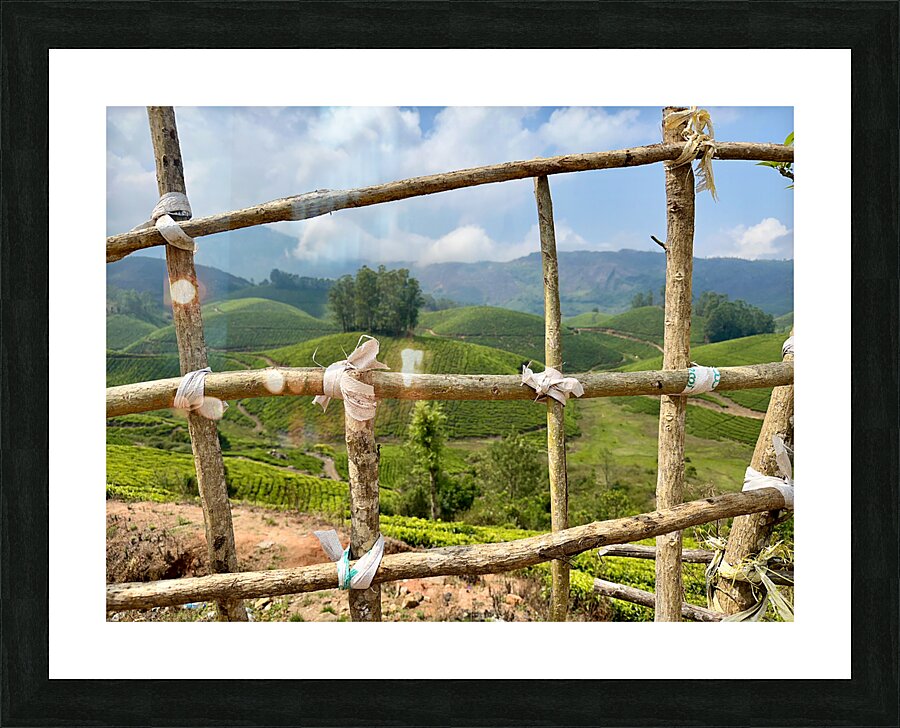 Peak a Tree Picture Frame print