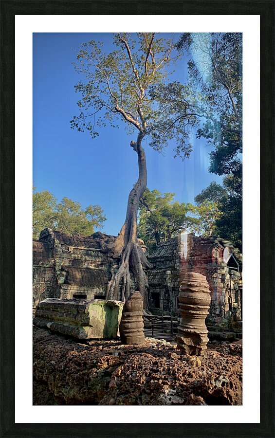 Temple Tree 2 Picture Frame print