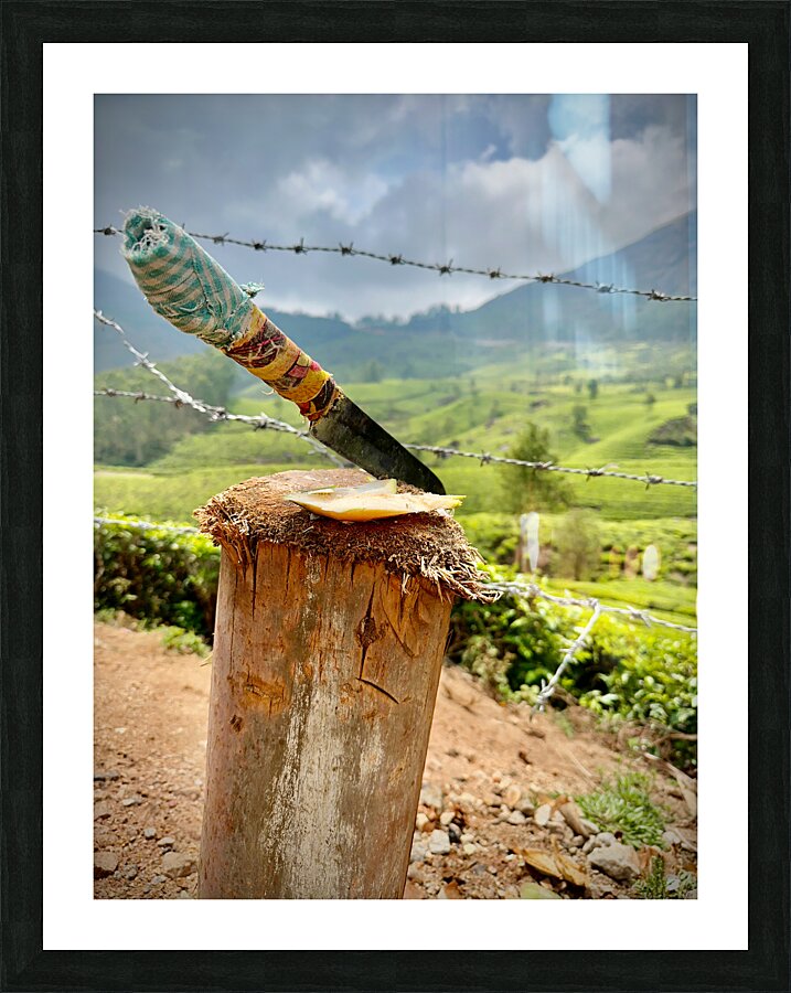 Coconut Knife 2 Picture Frame print