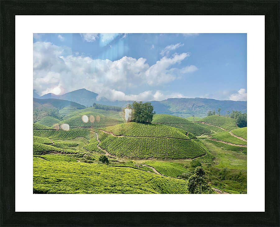 Tree Through the Tea 2 Picture Frame print