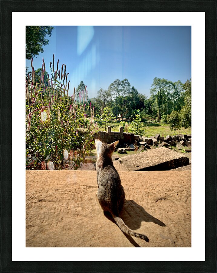 Kitty Overlooking the Garden Picture Frame print